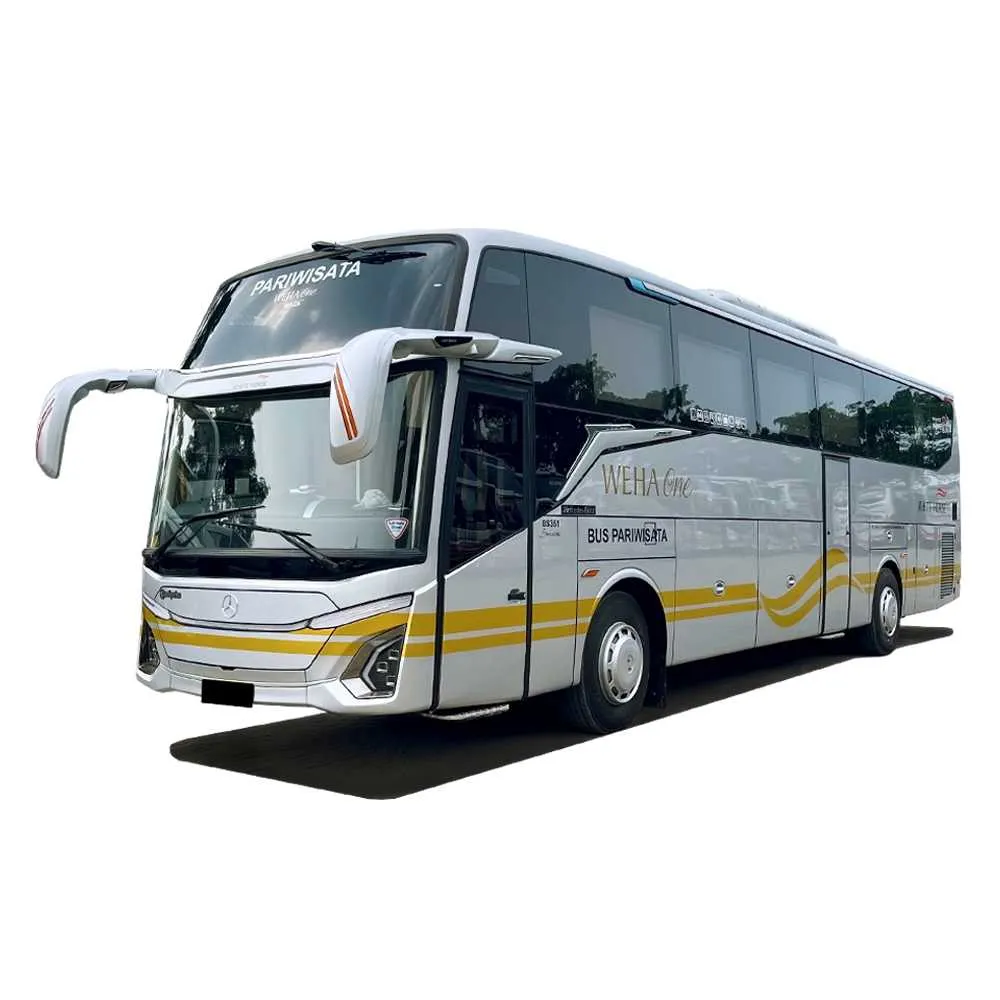 Bus Pariwisata